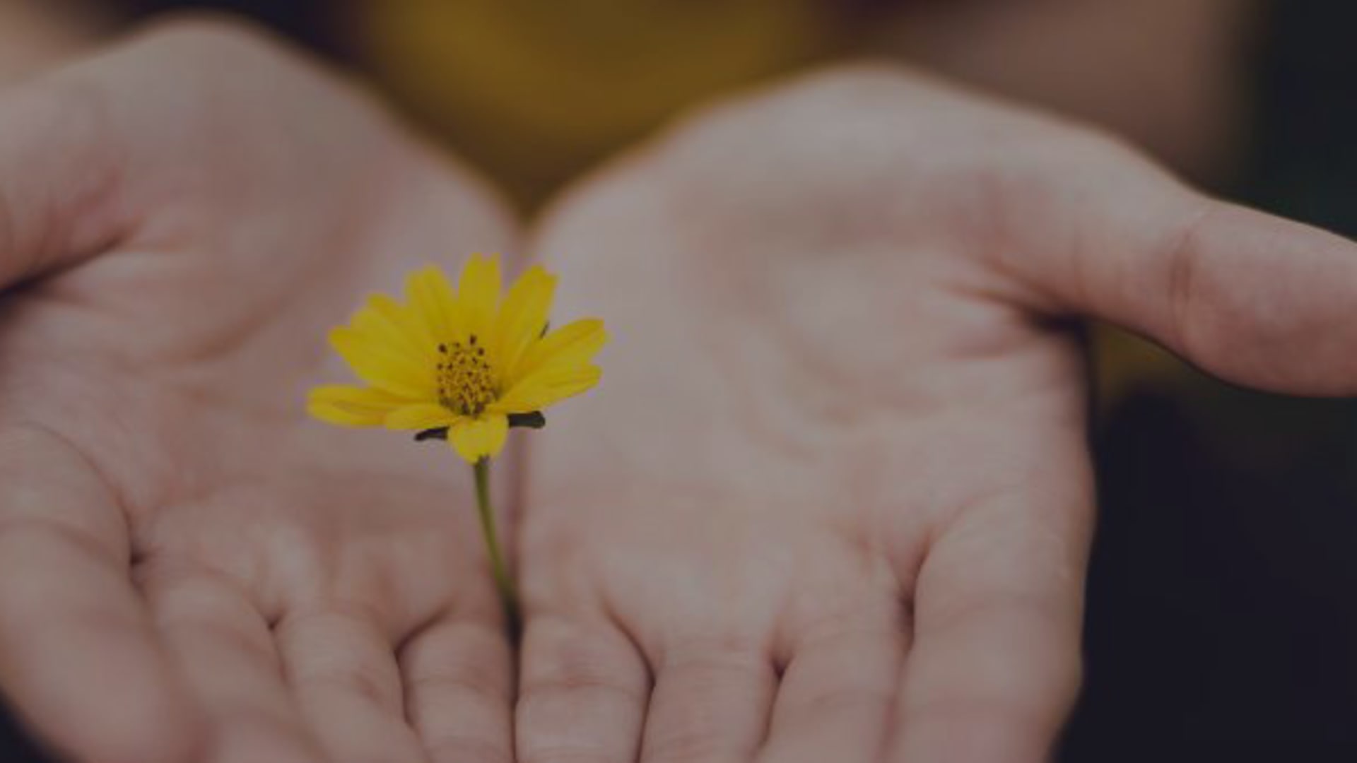 Peacemaking Resources Picture